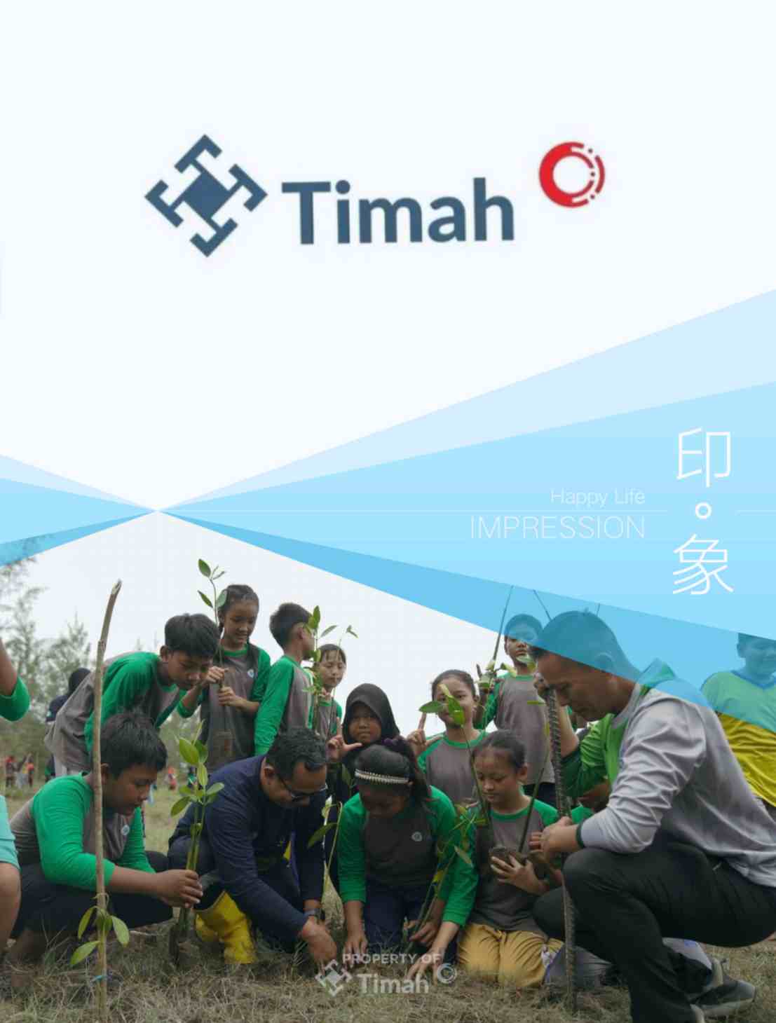 PT TIMAH Memperkuat Reklamasi Lahan Pasca-Penambangan untuk Melestarikan Keberlanjutan Lingkungan